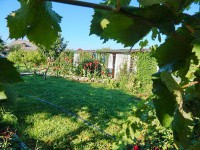 Евпатория 2020 -  - Частная усадьба «У Машеньки»