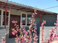 Евпатория 2020 -  - Частная усадьба «У Машеньки»