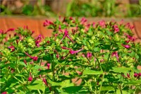 Алушта 2024 Санаторий Киев Алушта отзывы 2017 - Лучшие отели 2017