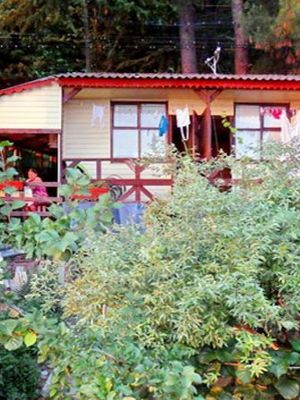  - Сочи - Базы отдыха 2019 - Сосновый бор Чемитоквадже 2017