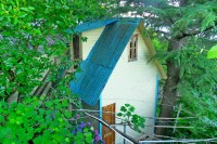 Сочи  - Клуб семейного отдыха  «Сосновый бор»