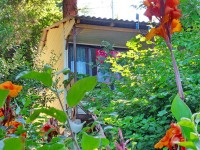   - Клуб семейного отдыха  «Сосновый бор»