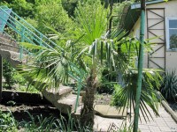 Туапсе отдых в Дедеркой 2017 - Лучшие отели 2017