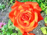 Туапсе 2024 Дедеркой цены - Лучшие отели 2017