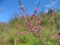 Туапсе 2024 дом Дедеркой - Лучшие отели 2017