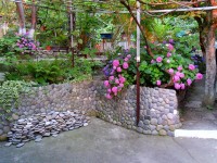 Сочи 2024 отдых в Чемитоквадже 2017 - Лучшие отели 2017