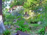 Сочи Лазаревское Чемитоквадже - Лучшие отели 2017