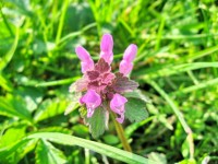 Туапсе 2024 Дедеркой частный сектор цены - Лучшие отели 2017