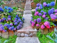 Сочи 2024 море Чемитоквадже - Лучшие отели 2017