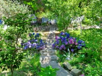 Сочи 2024 Чемитоквадже перевод - Лучшие отели 2017