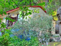 Сочи 2024 Чемитоквадже отдых 2017 цены - Лучшие отели 2017