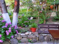 Сочи 2024 Чемитоквадже фото поселка - Лучшие отели 2017