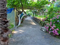 Сочи 2024 Чемитоквадже гостиницы - Лучшие отели 2017