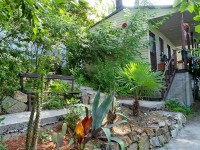 Сочи 2024 отдых Чемитоквадже частный сектор - Лучшие отели 2017