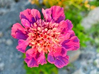 Туапсе 2024 Дедеркой 2017 - Лучшие отели 2017