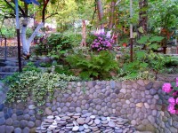 Сочи 2024 пляжи Чемитоквадже фото - Лучшие отели 2017