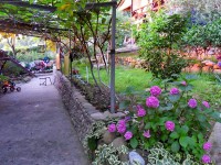 Сочи 2024  - Лучшие отели 2017