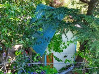  - Сочи - Базы отдыха 2019 - Чемитоквадже гостевые дома