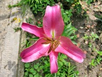 Туапсе 2024 Дедеркой цены 2017 - Лучшие отели 2017