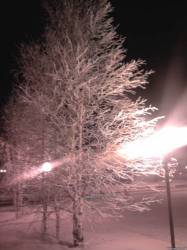 <b>СМОТРЕТЬ ФОТО