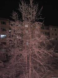 <b>СМОТРЕТЬ ФОТО