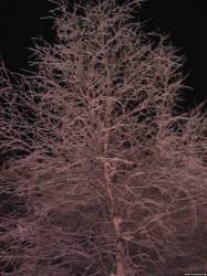 <b>СМОТРЕТЬ ФОТО