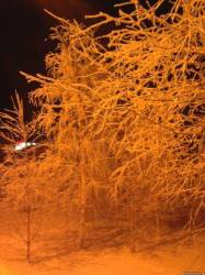 <b>СМОТРЕТЬ ФОТО