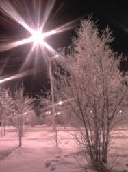 <b>СМОТРЕТЬ ФОТО