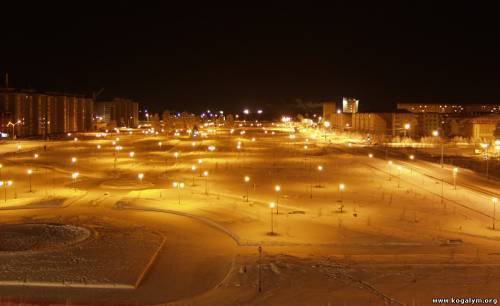 Рябиновый бульвар зимой ночью