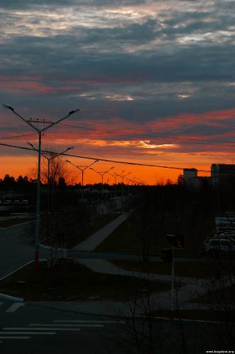 Фотография 1