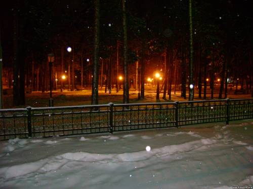 Парк возле школы №2