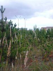 <b>СМОТРЕТЬ ФОТО