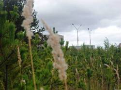 <b>СМОТРЕТЬ ФОТО