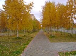 <b>СМОТРЕТЬ ФОТО