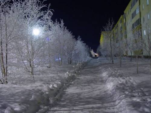 Зимняя аллея