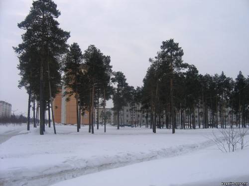 Улица Дружбы Народов