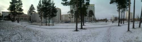 Лесопарковая зона возле Мисне