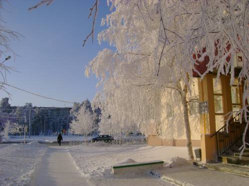 Зимние виды