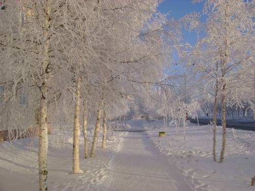 Зимняя аллея