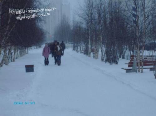 Аллея на ул.Молодежная