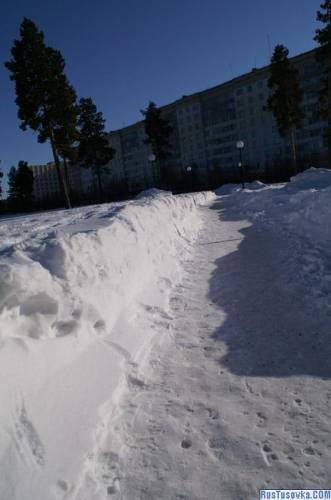 Дорога из ЗАГСА