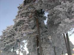 <b>СМОТРЕТЬ ФОТО