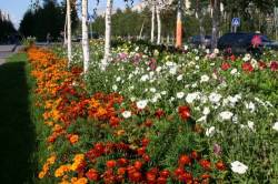 <b>СМОТРЕТЬ ФОТО