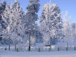 <b>СМОТРЕТЬ ФОТО