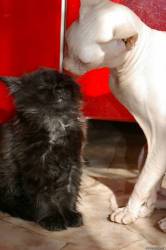 <b>СМОТРЕТЬ ФОТО