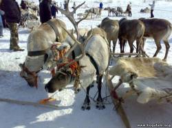 <b>СМОТРЕТЬ ФОТО