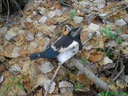 <b>СМОТРЕТЬ ФОТО