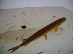 <b>СМОТРЕТЬ ФОТО