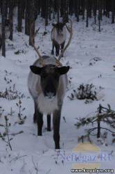 <b>СМОТРЕТЬ ФОТО