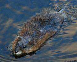 <b>СМОТРЕТЬ ФОТО